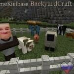 BackyardCraft-Resource-Pack-for-minecraft-texture-pack-6